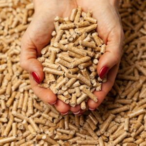 buy wood fuel pellets shop online